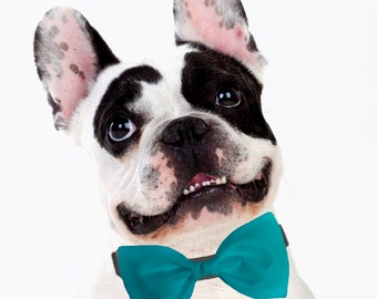 Turquoise Dog Bow Tie - Formal Bow Tie for Dogs - Detachable Dog Bow Tie - Dog Wedding Attire - Teal Bow Tie for Dogs - Turquoise Bow Tie