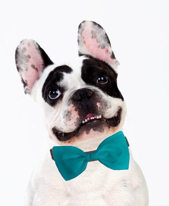 Turquoise Dog Bow Tie Formal Bow Tie for Dogs Detachable Dog Bow
