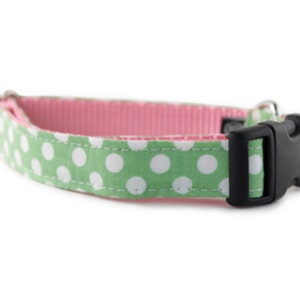 May include: Green and pink dog collar with white polka dots and a black plastic buckle.