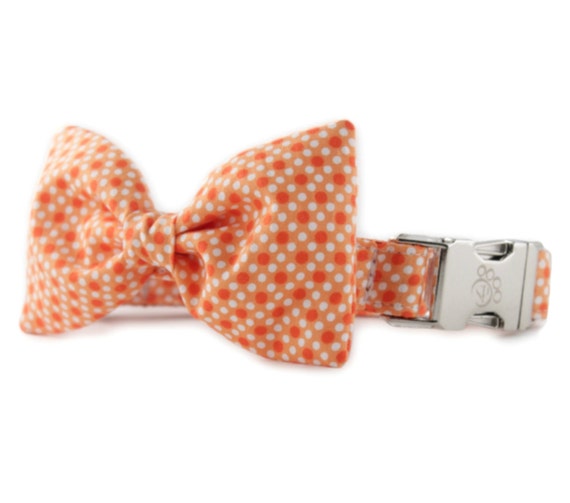 orange bow tie dog collar