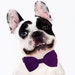 see more listings in the Dog Bow Tie Accessories section