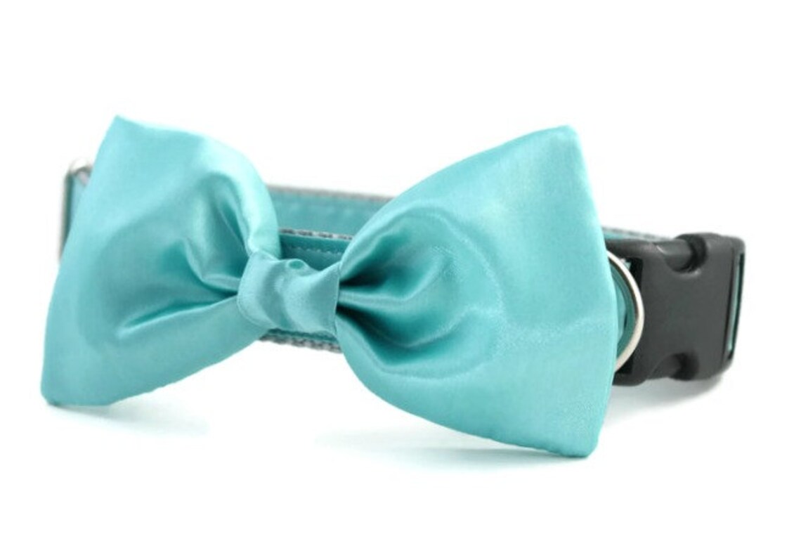 Turquoise Bow Tie Dog Collar Dog Bow Tie Collar Wedding Etsy