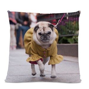 Photo Pillow - Home Decor - Your Own Dog On a Pillow - dog home decor - custom photo pillow - Design Your Own Pillow - Your Own Photo