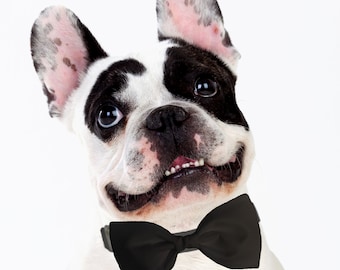 Black Dog Bow Tie - Lazo formal de arco para perros - corbata de arco de perro desmontable - corbata de arco de perro extraíble - atuendo de boda de perro - accesorio de collar de perro