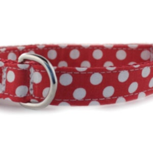 May include: Red dog collar with white polka dots and a silver D-ring.