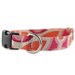 see more listings in the dog collars section