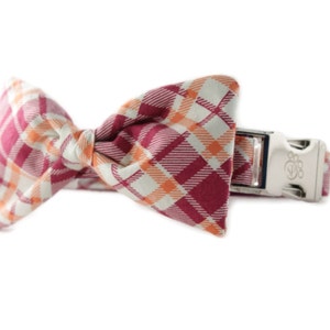 May include: A red and orange plaid bow tie attached to a white dog collar with a silver buckle.