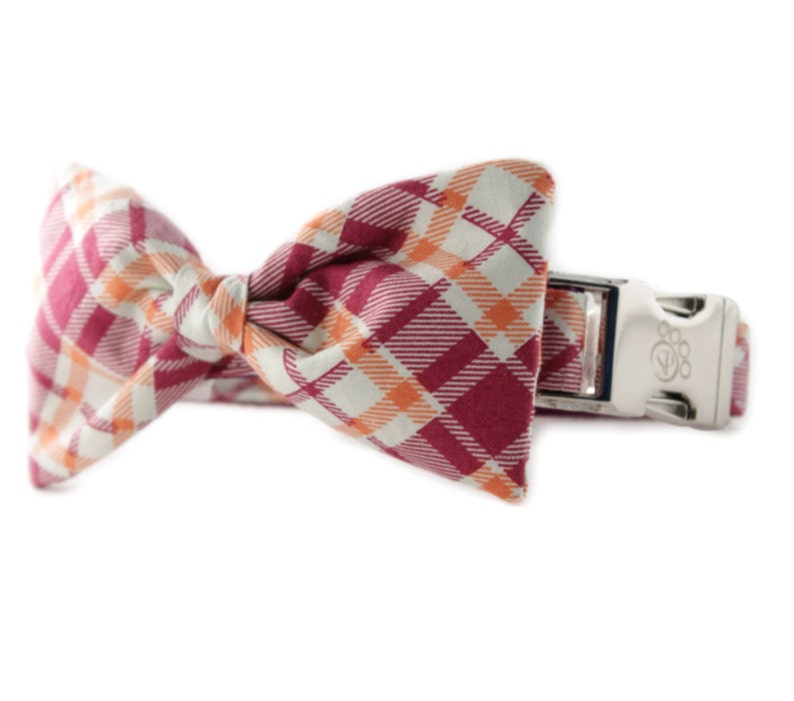 May include: A red and orange plaid bow tie attached to a white dog collar with a silver buckle.