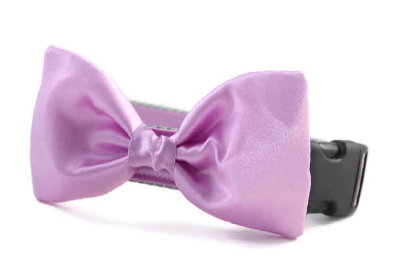 Lavender Bow Tie Dog Collar Dog Bow Tie Collar Wedding Attire for Dogs dog wedding lavender satin dog bow tie formal dog bow tie image 1