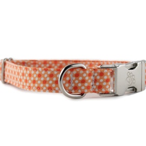 May include: Orange and white polka dot dog collar with a silver buckle and D-ring.
