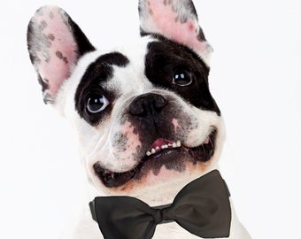Pajarita gris para perro - Accesorio desmontable para collar de boda
