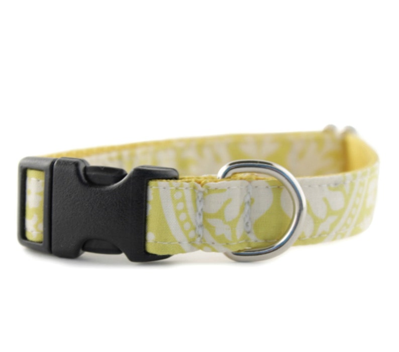 Yellow Dog Collar Yellow and White Dog Collar Solana Dog Etsy