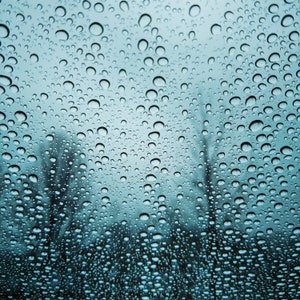 Raindrops Photo Print on Metal