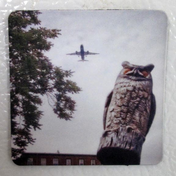 Owl Photo Magnet