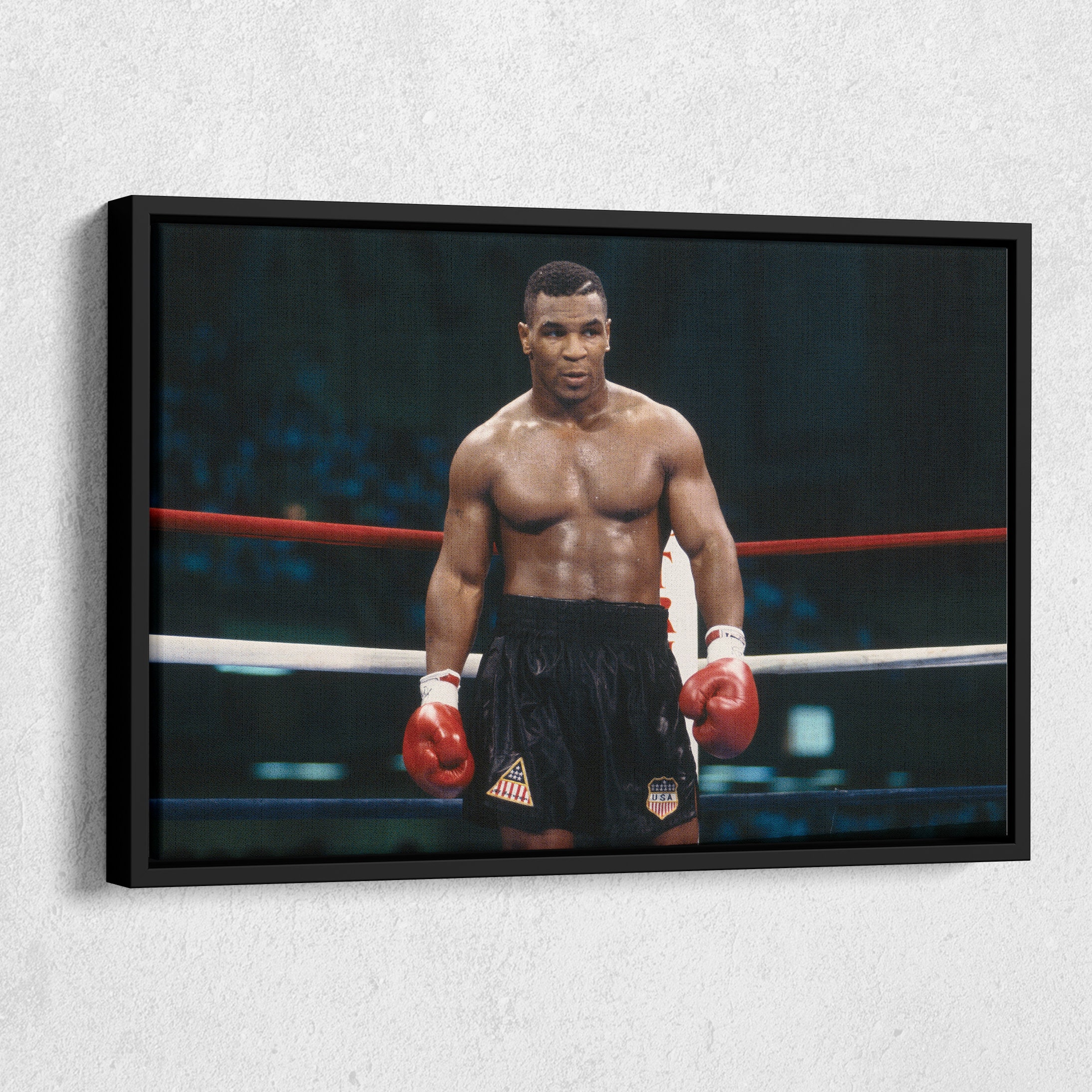 Ritaglio Cartone Mike Tyson Grandezza Naturale | Decorazione Per Feste E Eventi - Foto 11