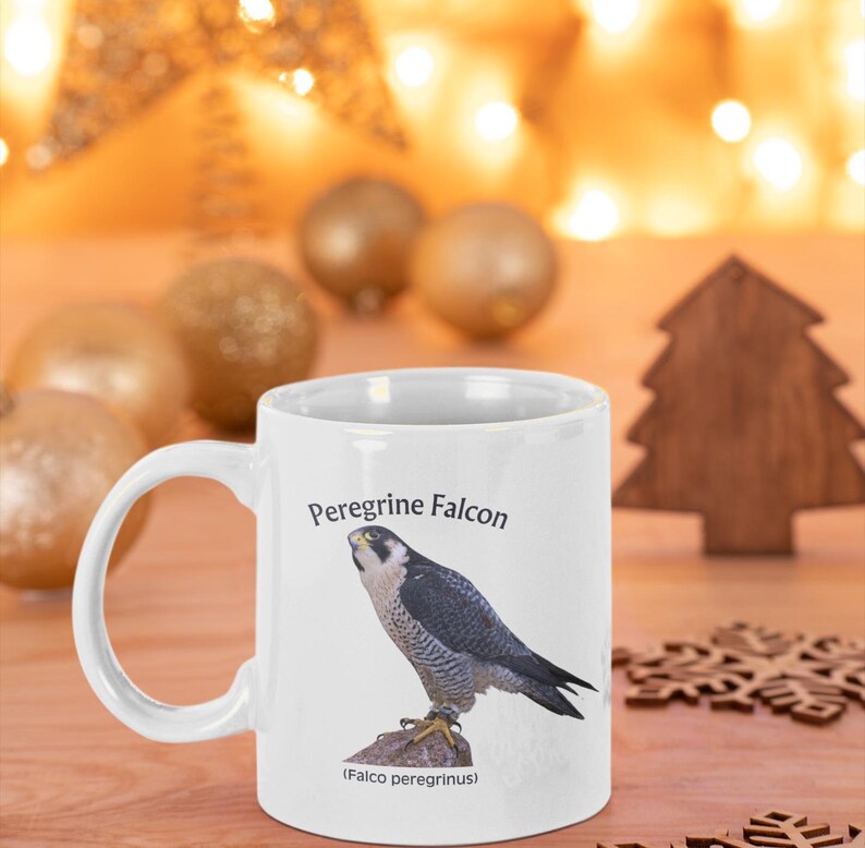 Peregrine Falcon Mug: Bird Watcher Gift, Naturalist Coffee Cup bild 10