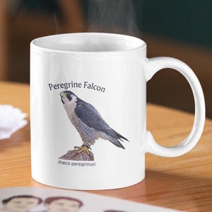 Peregrine Falcon Mug: Bird Watcher Gift, Naturalist Coffee Cup bild 4