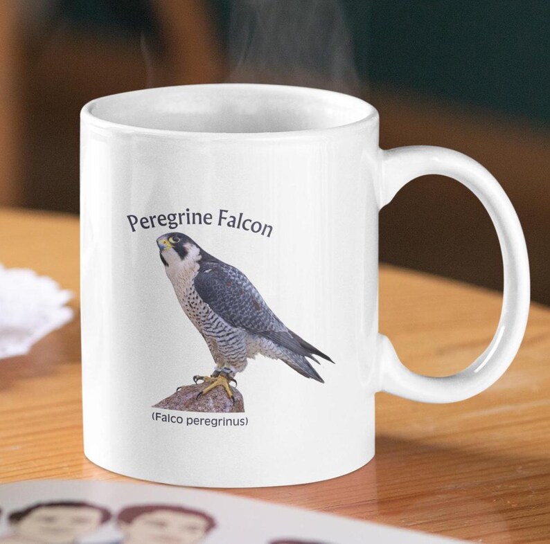 Peregrine Falcon Mug: Bird Watcher Gift, Naturalist Coffee Cup bild 4