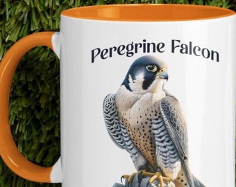 Bird Lovers gift | Peregrine Falcon Accented Ceramic Coffee Mug | Birding Birthday Cup