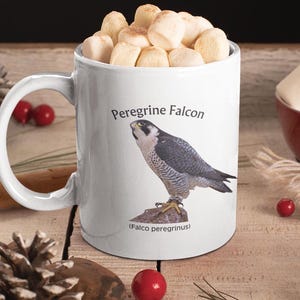 Peregrine Falcon Mug: Bird Watcher Gift, Naturalist Coffee Cup bild 7