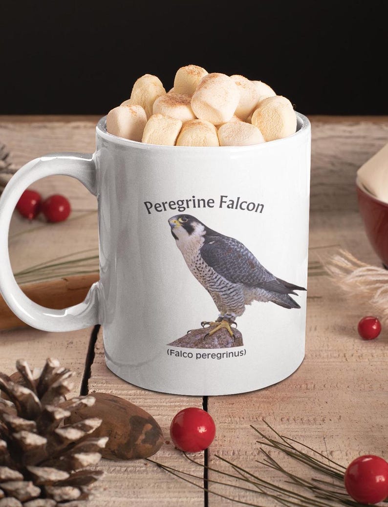Peregrine Falcon Mug: Bird Watcher Gift, Naturalist Coffee Cup bild 7