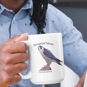 Peregrine Falcon Mug: Bird Watcher Gift, Naturalist Coffee Cup bild 5