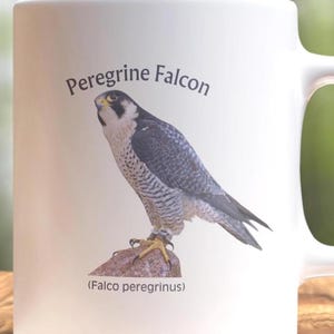 Peregrine Falcon Mug: Bird Watcher Gift, Naturalist Coffee Cup bild 1