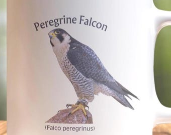 Peregrine Falcon Mug: Bird Watcher Gift, Naturalist Coffee Cup