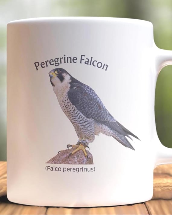 Peregrine Falcon Mug: Bird Watcher Gift, Naturalist Coffee Cup