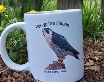Peregrine Falcon Photo Mug | Birdwatcher 20oz Ceramic Cup