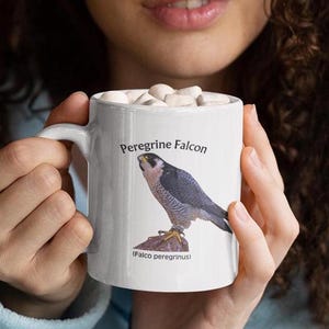 Peregrine Falcon Mug: Bird Watcher Gift, Naturalist Coffee Cup bild 3