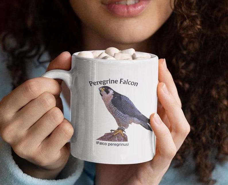 Peregrine Falcon Mug: Bird Watcher Gift, Naturalist Coffee Cup bild 3