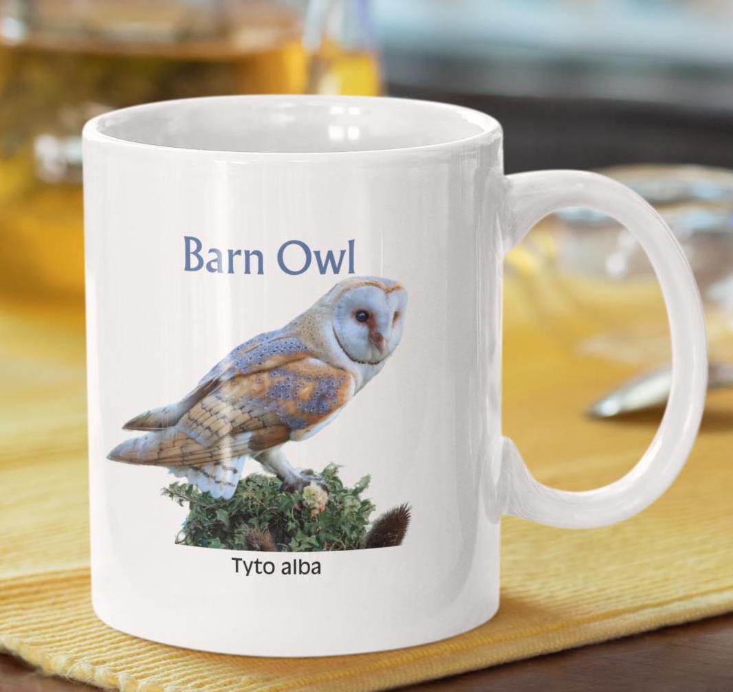 Barn Owl Mug: Birdwatcher Gift, White Ceramic Coffee Mug