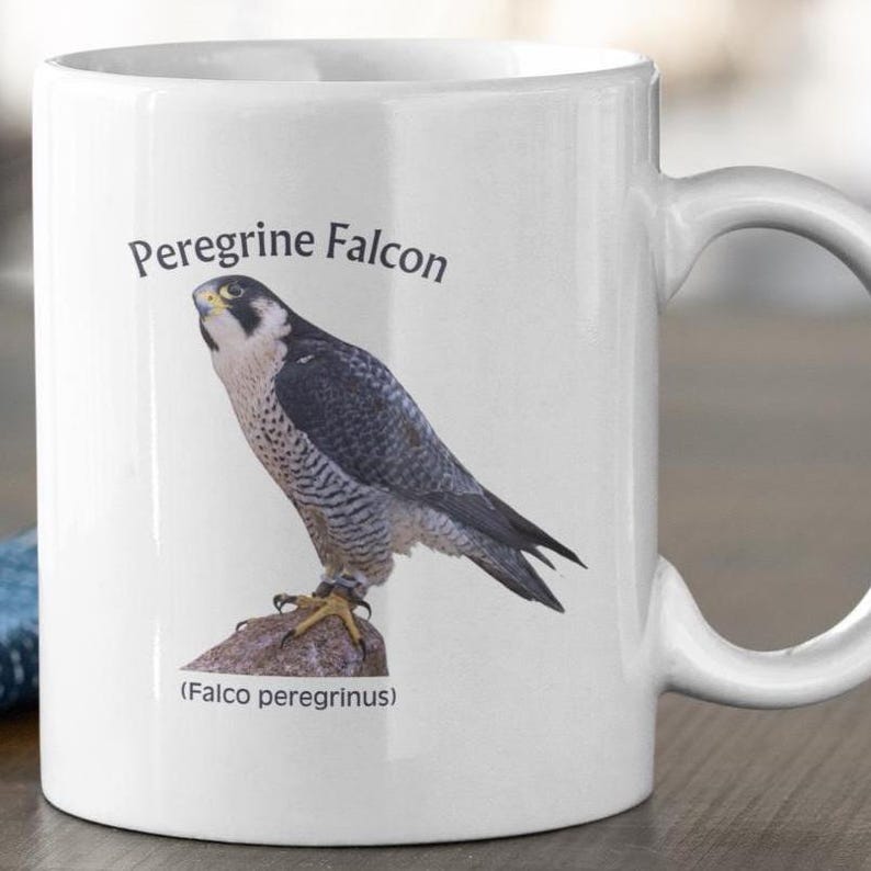 Peregrine Falcon Mug: Bird Watcher Gift, Naturalist Coffee Cup bild 2