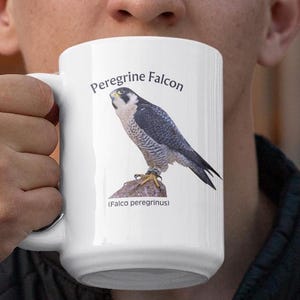 Peregrine Falcon Mug: Bird Watcher Gift, Naturalist Coffee Cup bild 6