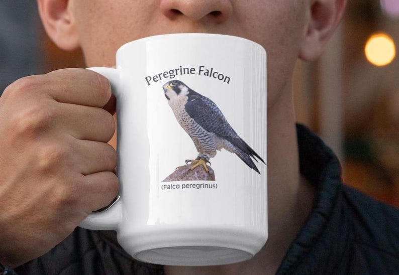 Peregrine Falcon Mug: Bird Watcher Gift, Naturalist Coffee Cup bild 6