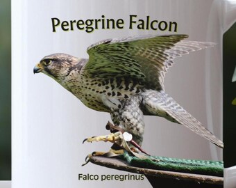 Gift For Falconers in a Peregrine Falcon Ceramic Mug, Bird Lover Gift
