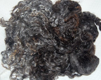 Karakul Lamb Wool Locks, Locks for Spinning, Felting Fiber, Doll Hair, Doll Wig, Beards,  in Shades of Gray  8 oz.