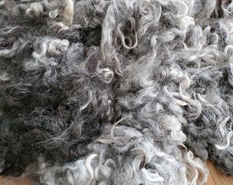 Pick Your own colors of Gray Cotswold, Locks for Spinning, Felting and Doll Hair in Natural Shades of Gray 4 oz.
