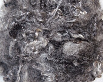 Cotswold Wool Locks, Sale, Locks for Spinning, Felting, Doll Hair, Doll Wigs, in shades of Medium to Dark Gray with light tips 9.80 oz.