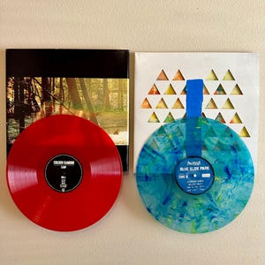 Vinyl Record Shelf | Wall Mount Album Display | Show Off Vinyl Record and Case! | Multiple colors!