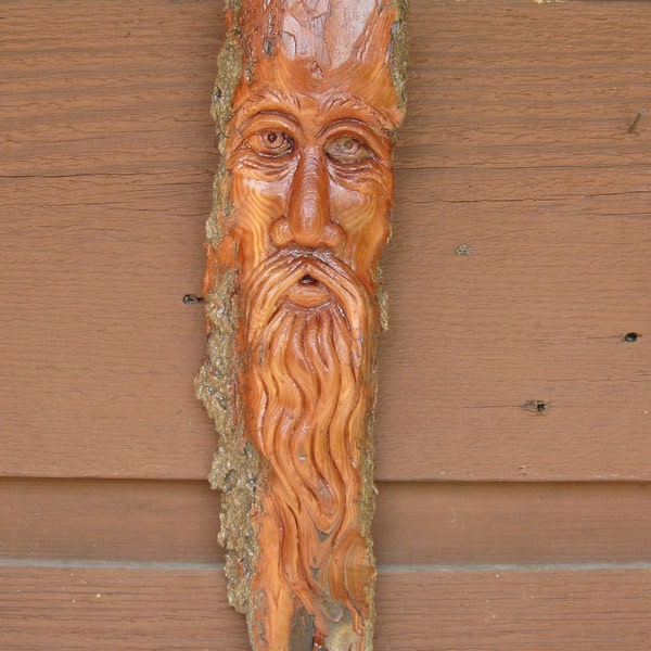 Reserved for Laura K. NEW Merlin in the Woods cottonwood bark carving