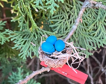 Bird Nest Plant and Tree Branch Clips