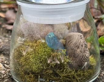 Nature Keepsake Jar