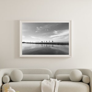 Fine Art Black and White Palm Tree Print | Fine Art Beach Print | Black and White Ocean Print | California Beach Print | Wall Decor
