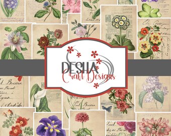 Vintage Botanical Art Trading Cards