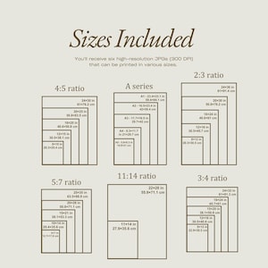 May include: A graphic detailing print sizes, including 4:5, 5:7, 2:3, 3:4, A series, and 11:14 ratios. Each size is labelled with dimensions in inches and centimetres, such as 24x30 in (61x76.2 cm). The text "Sizes Included" is at the top.