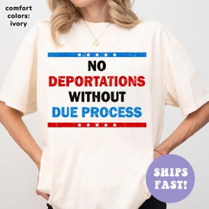 Comfort Colors Due Process is a Human Right Shirt, Protest Vintage Aesthetic Lady Justice Shirt, Due Process Anti Fascism Statement T-Shirt