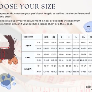 Size chart small, medium and big dogs