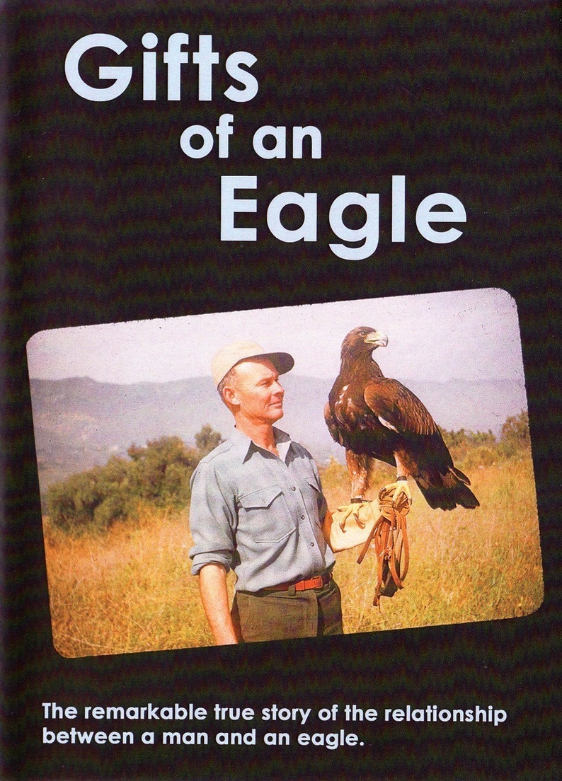 Dvd Gifts Of An Eagle Now On Dvd Amazing Vintage Documentary About A Man And A Golden Eagle
